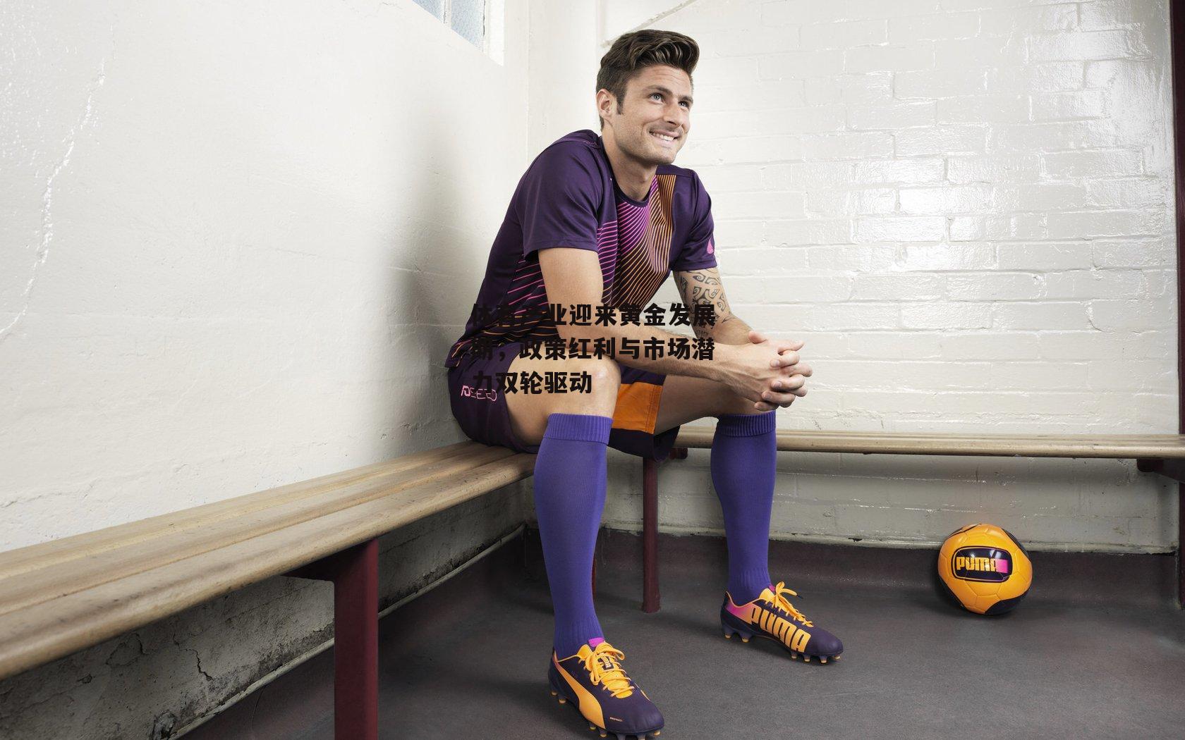 体育产业迎来黄金发展期，政策红利与市场潜力双轮驱动-澳客网