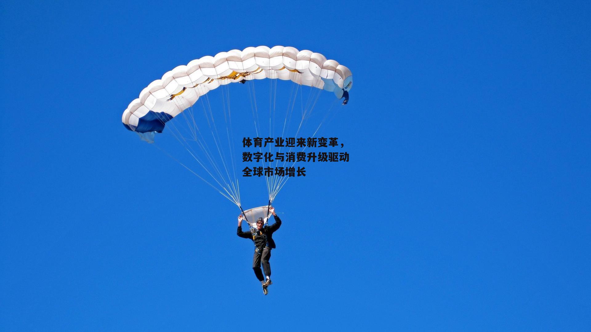 澳客足彩网|体育产业迎来新变革,数字化与消费升级驱动全球市场增长