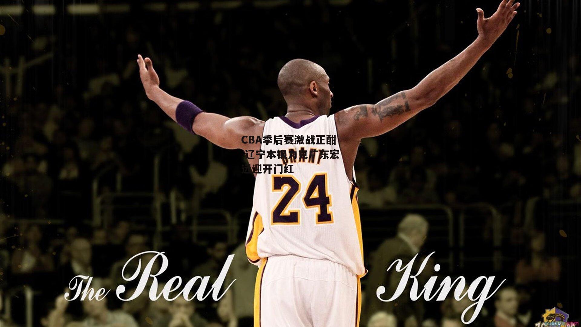 CBA季后赛激战正酣 辽宁本钢力克广东宏远迎开门红_澳客